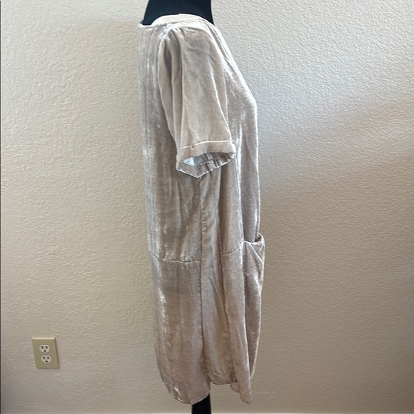 Anthropologie Floreat Crinkle Crushed Velvet Dress Champagne Pockets 0135 - Picture 6 of 9